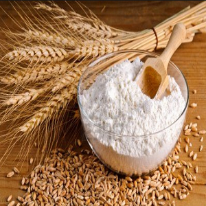 জবের ছাতু ১ কেজি